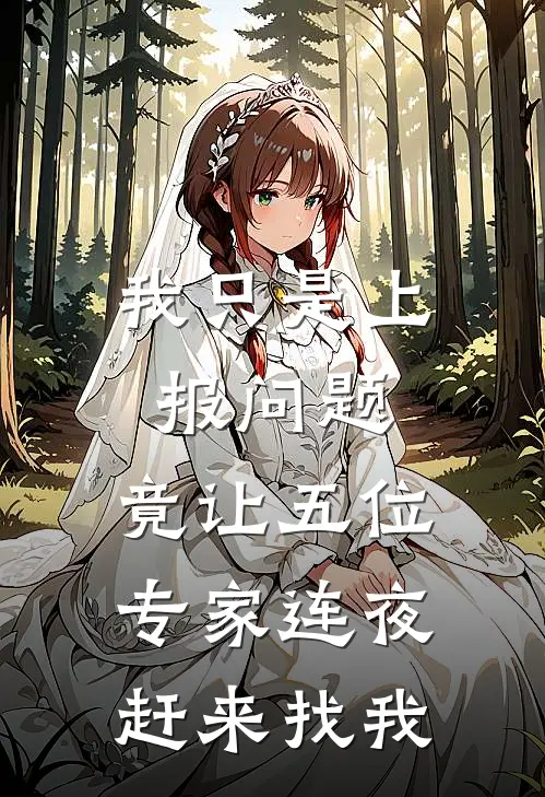 我只是上报问题，竟让五位专家连夜赶来找我